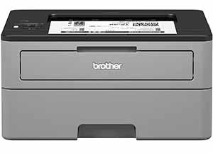 Brother HL-L2350DW Monochrome Laser Printer