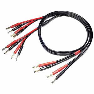 CNCESS 106-3f Bi-Wire Speaker Cable