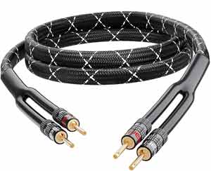 GearIT 10 AWG Speaker Wire with Banana Plugs