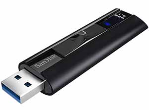 SanDisk SDCZ880 256G G46