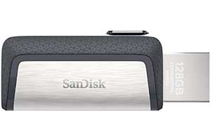 SanDisk SDDDC2 256G G46